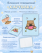 Блокнот плюшевий Capybara Zibi №12, A5, 80 аркушів, клітинка ZB.700033 фото 1