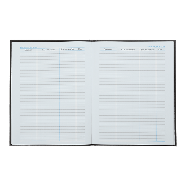 Щоденник для музичної школи А5 48 аркушів інтегральна обкладинка для хлопчиків ZB.13888 фото