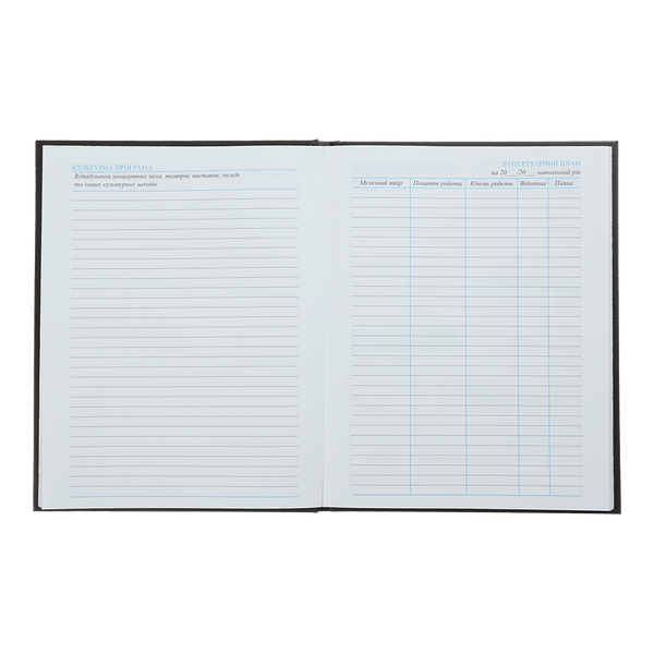 Щоденник для музичної школи А5 48 аркушів інтегральна обкладинка для хлопчиків ZB.13888 фото