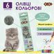Олівці кольорові SMART Line Dogs and cats 6 кольорів ZB.2426 фото 1