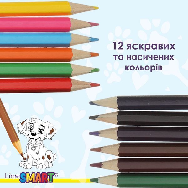 Олівці кольорові SMART Line Dogs and cats 12 кольорів ZB.2427 фото