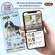 Олівці кольорові SMART Line Dogs and cats 12 кольорів ZB.2427 фото 5