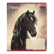 Тетрадь ученическая школьная ZiBi Horses 24 листа в клеточку ZB25.1770K фото 2