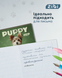 Тетрадь ученическая школьная ZiBi Dogs 12 листов в косую линию ZB25.1753C фото 4