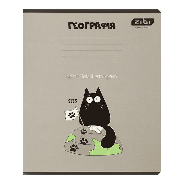 Набір предметних зошитів Crazy Cat 48 аркушів в клітинку 8 предметів 10 шт ZB.1703-99 фото