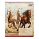 Зошит учнівський шкільний ZiBi Horses 24 аркуші в лінію ZB25.1770L фото 8